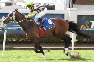 Teronado - Chris Munce