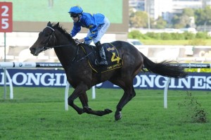 The Offer - Melbourne Cup 2014