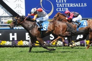 Best Case - Randwick Tips