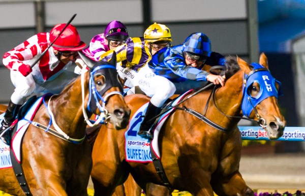 Buffering winning the Manikato Stakes at Moonee Valley