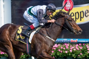 Afleet Esprit, Damien Oliver