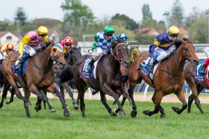 Big Memory, Tommy Berry