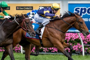 Big Memory, Tommy Berry