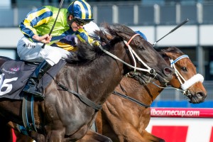 Lucia Valentina, Kerrin McEvoy