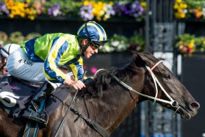 Lucia Valentina, Kerrin McEvoy