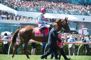 Red Cadeaux, Gerald Mosse