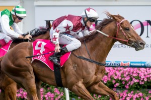 Trust In A Gust, Brad Rawiller