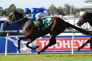 Winx - Flight Stakes 2014