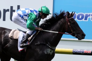 Signoff - Lexus Stakes 2014