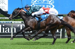 Odyssey Moon favourite for the McKenzie Stakes 2015
