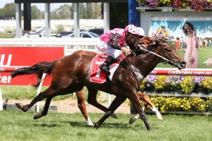 Flying Artie,Blue Diamond Prelude,Group 2_13-02-2016_WIN_Caulfield_4__2001