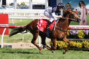 Extreme Choice - 2016 Golden Slipper Stakes Field