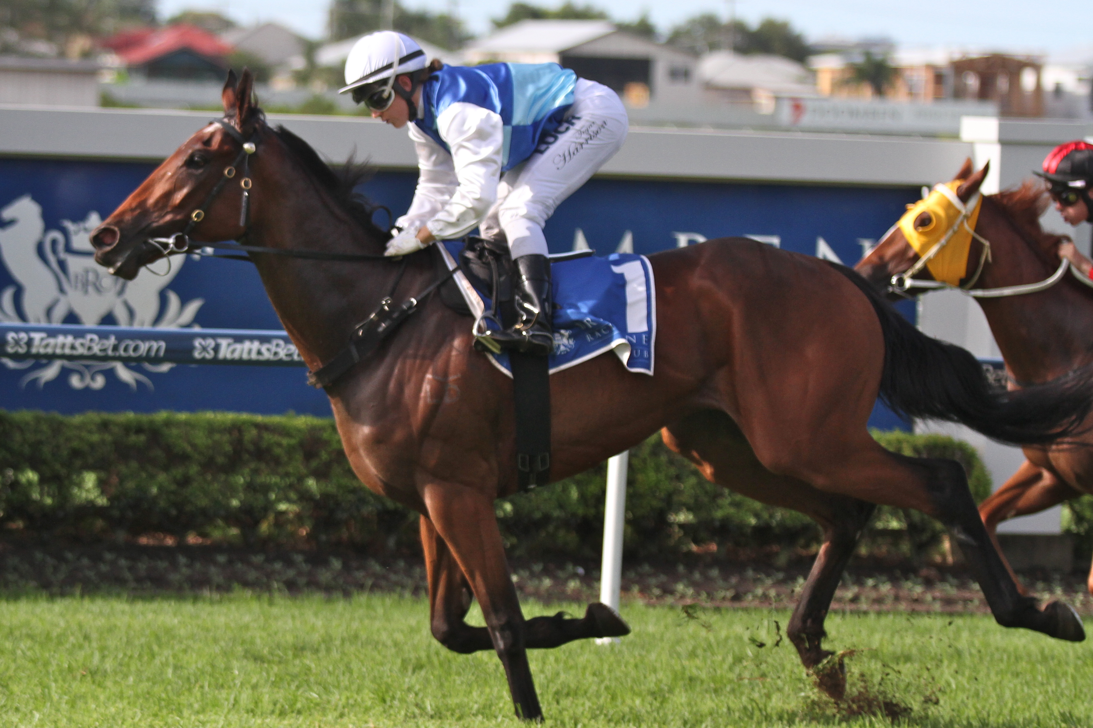 Rudy - Doncaster Mile