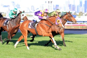 Swacadelic - Andrew Ramsden Stakes