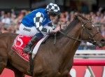 Protectionist - Melbourne Cup 2016