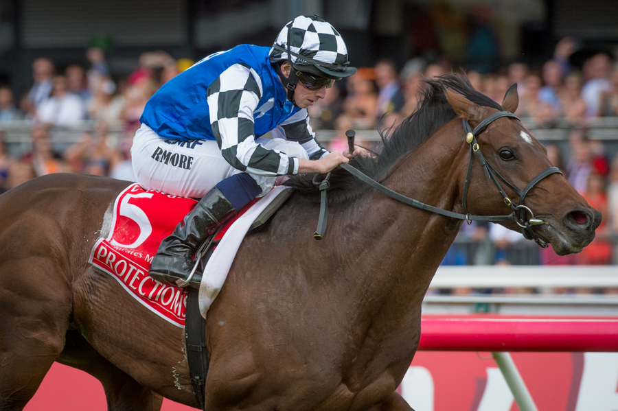 Protectionist - Melbourne Cup 2016