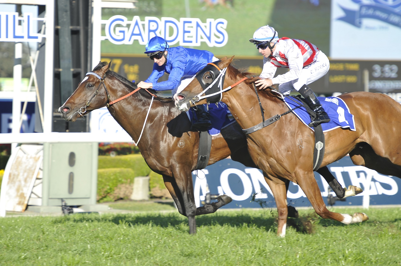 Astern - Roman Consul Stakes