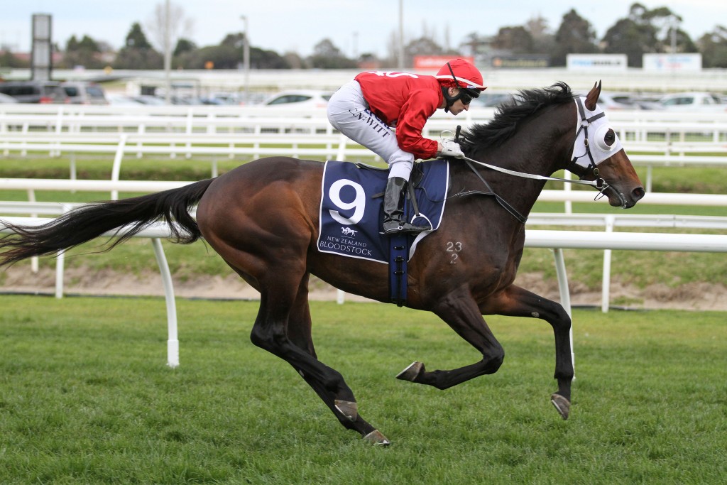 Tarzino - Makybe Diva Stakes