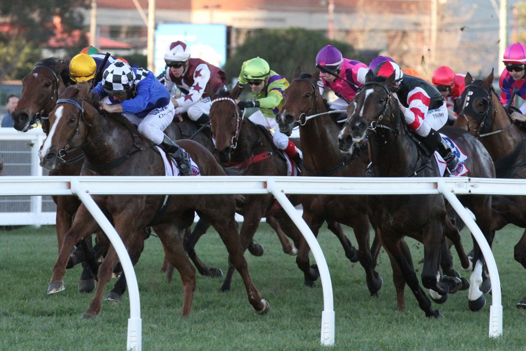 Wild Rain - McEwen Stakes