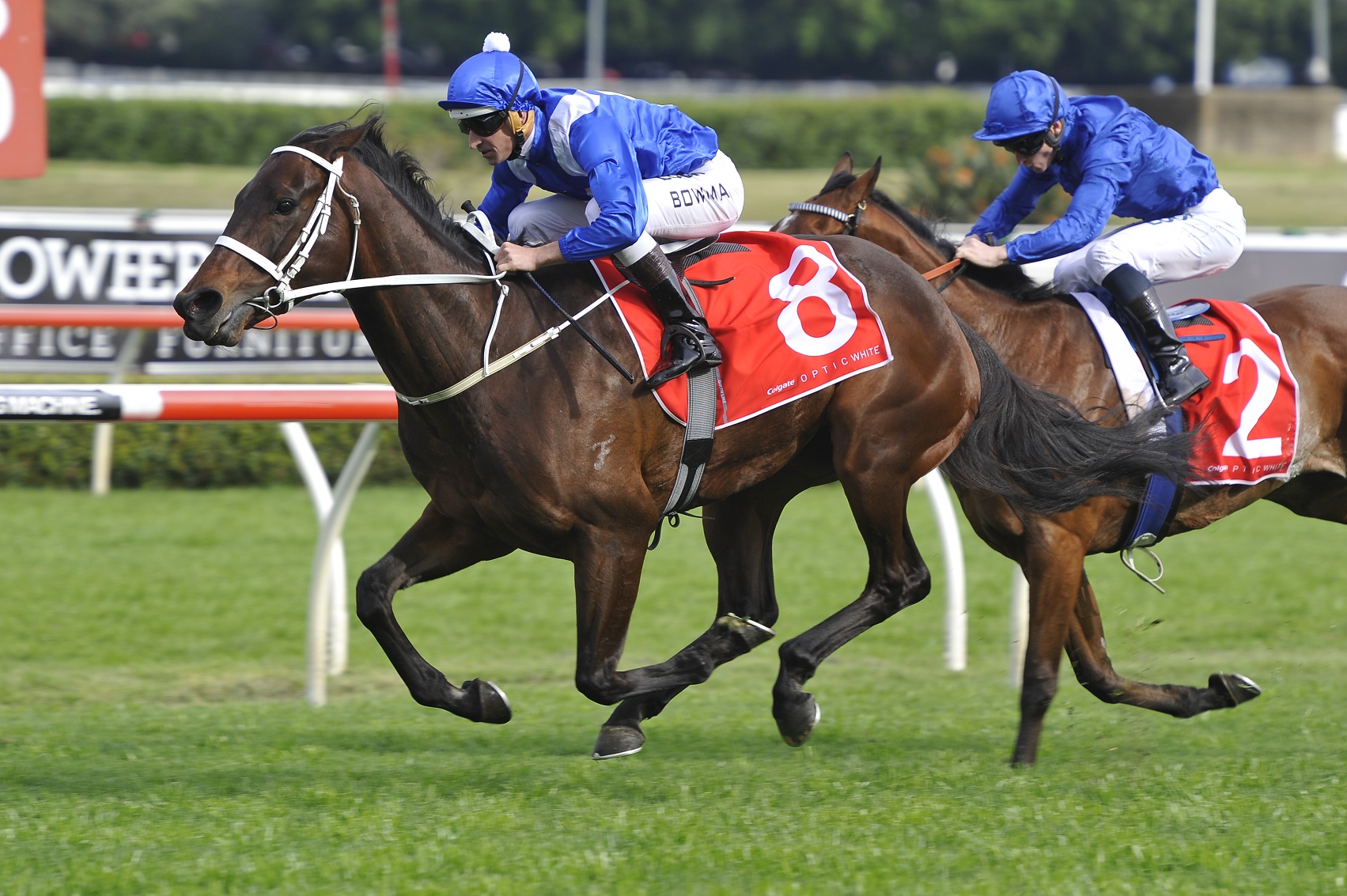 Winx - Caulfield Stakes