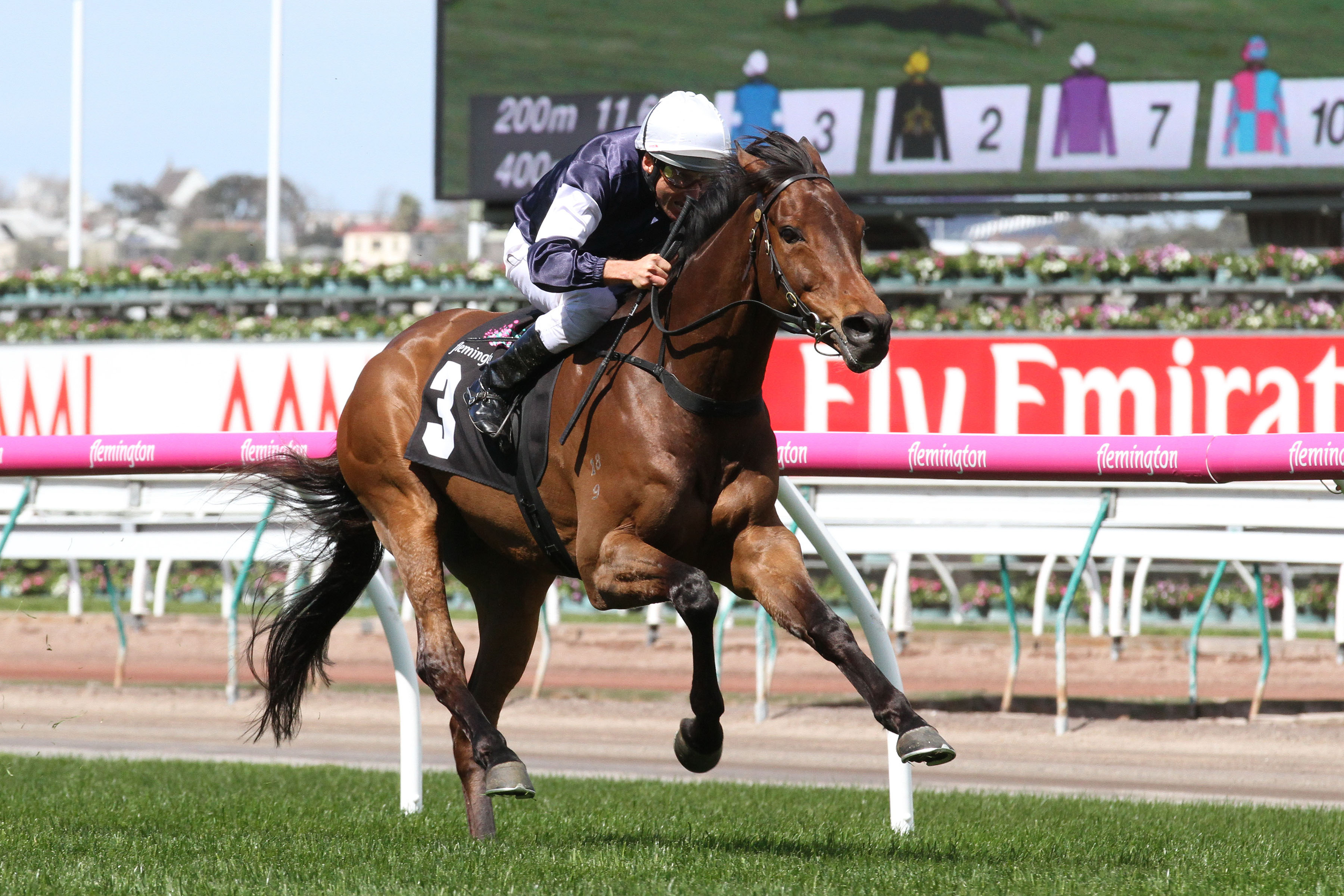fixed price betting melbourne cup tips fixed price betting melbourne cup tips