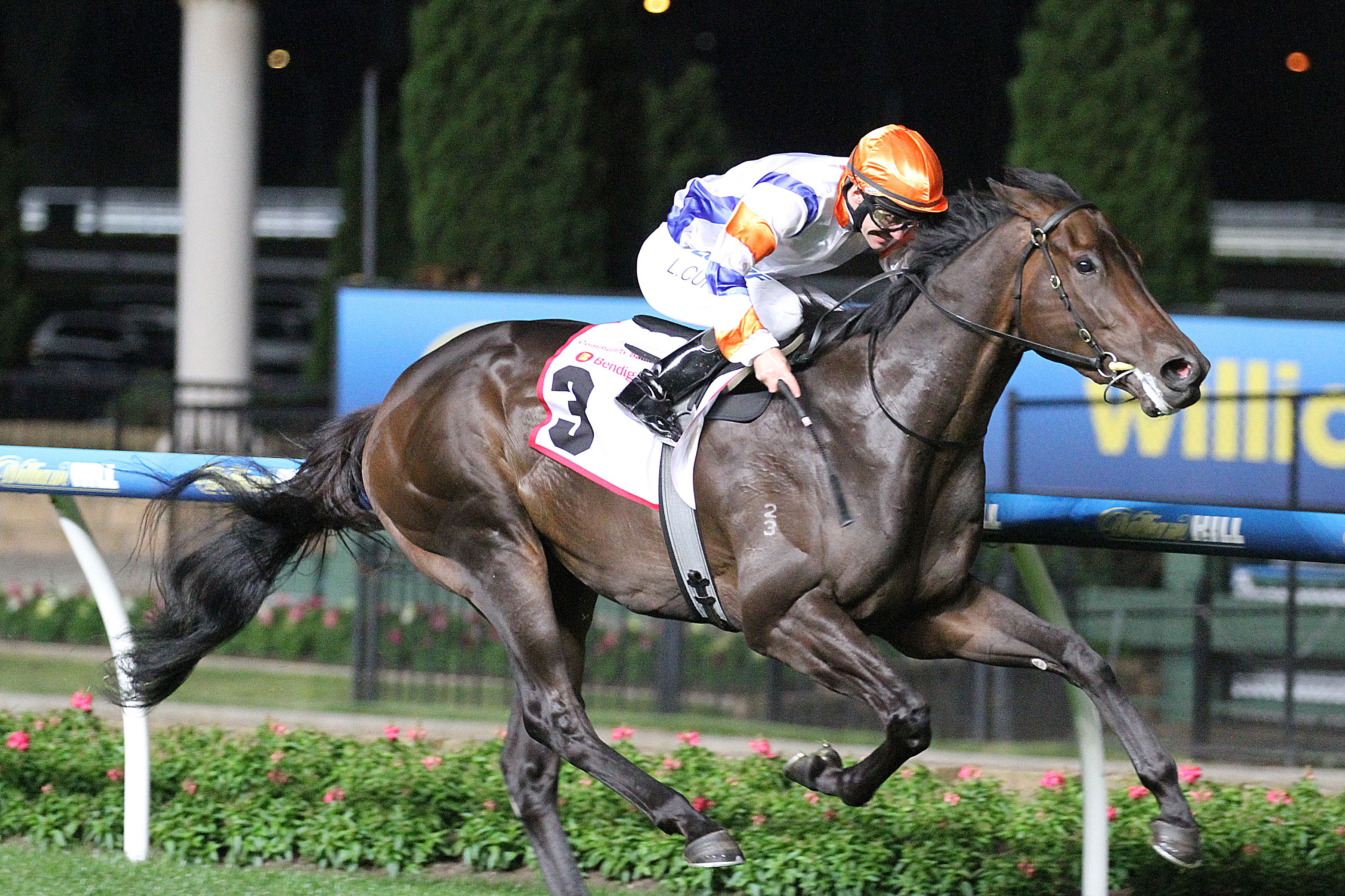 Хорс валей. Лонг Хорс. Лонг Хорс лошадь. Flemington Racecourse.