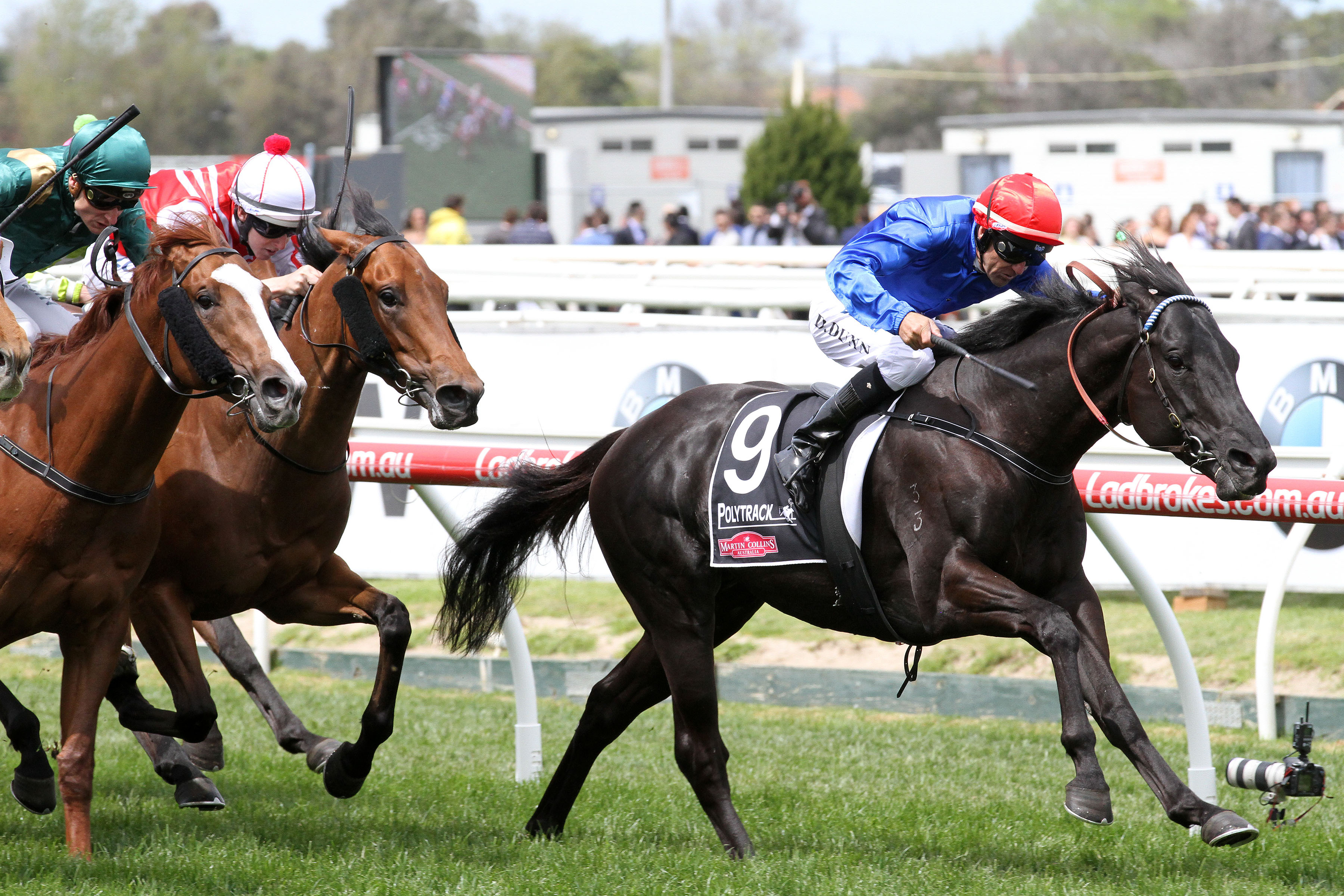Peacock to be targeted at Hilton Stakes in Melbourne Cup carnival