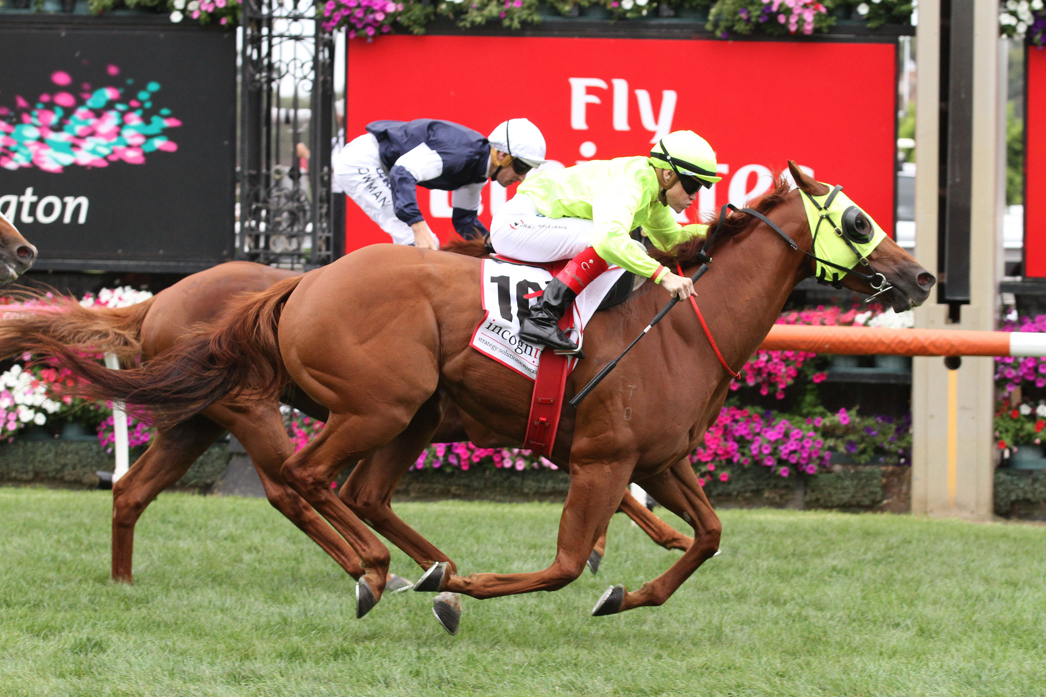 He Or She - Kingston Town Classic