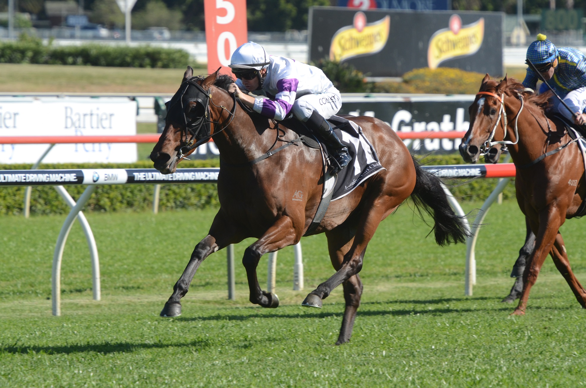 Vrc Flemington Vrc Flemington