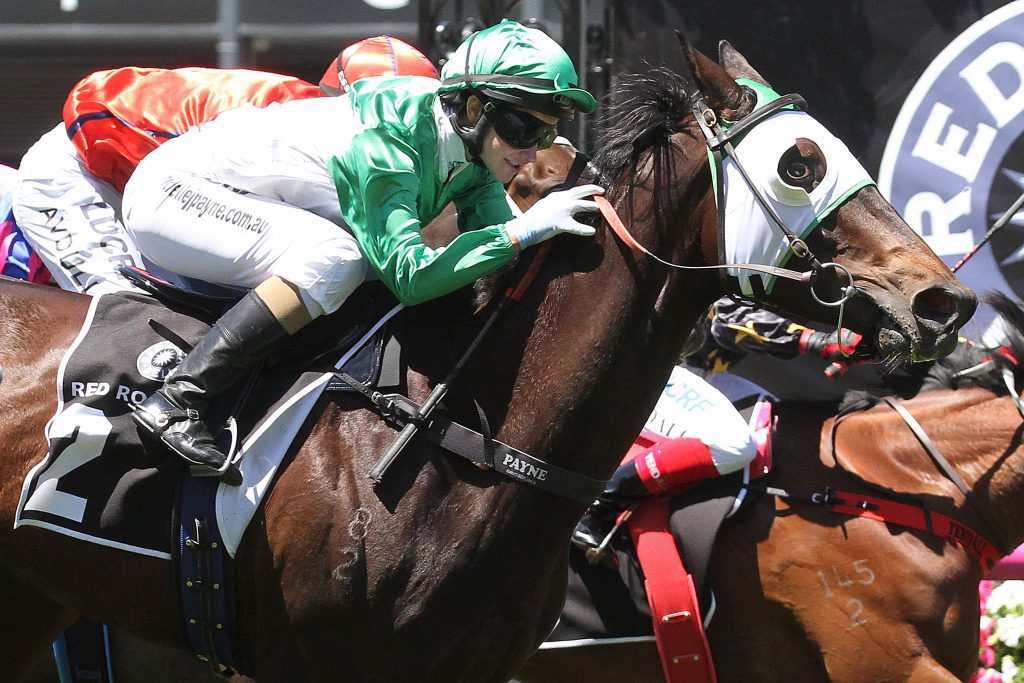 Flemington Horse Racing Tips 10/12/2016 Sports News Australia