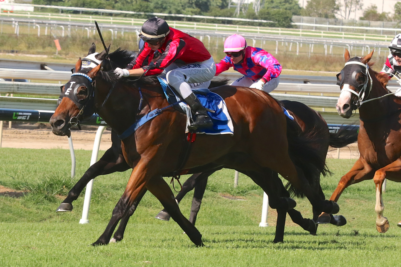 Coffs Harbour Cup 2016 day Tips Coffs Harbour races 9/12/2016