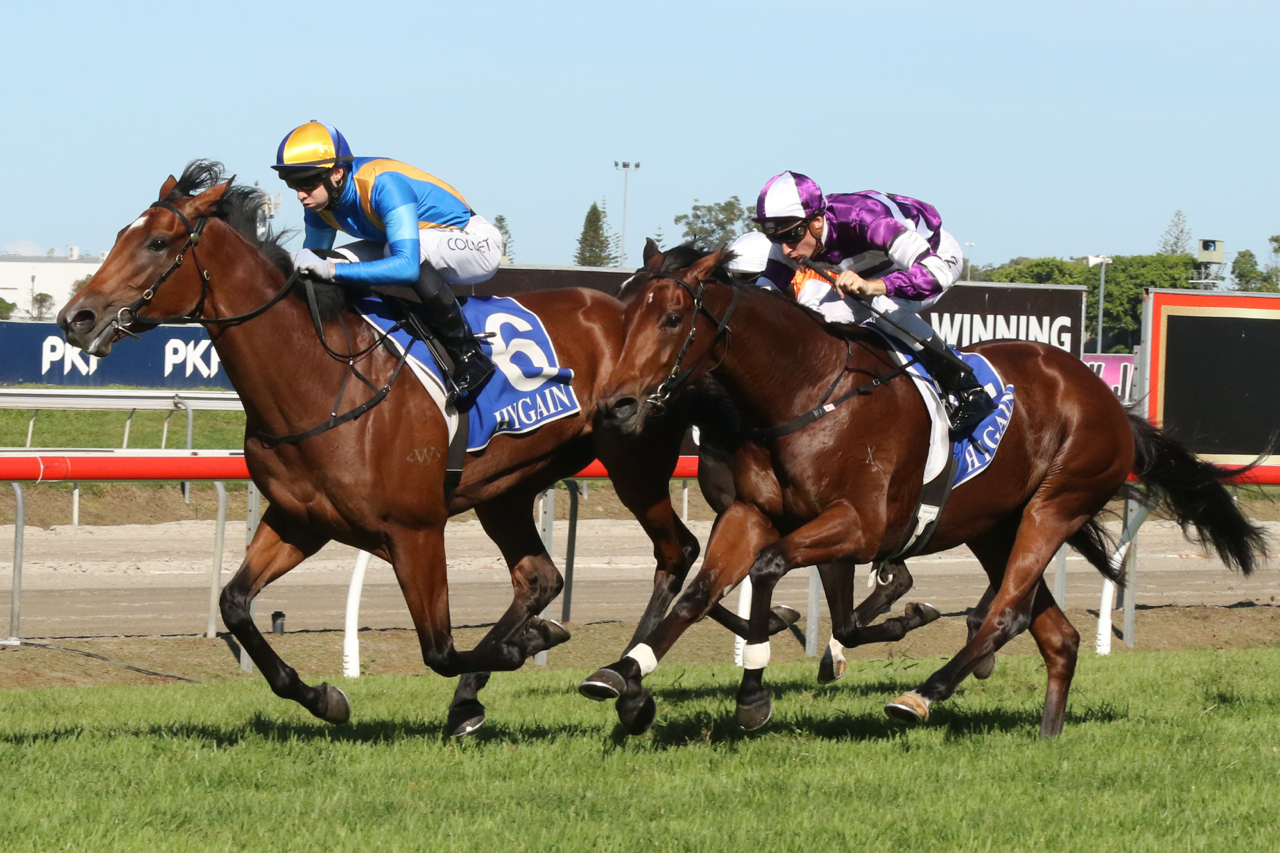 Festival Stakes 2016 day Tips Rosehill races 3/12/2016 Sports News