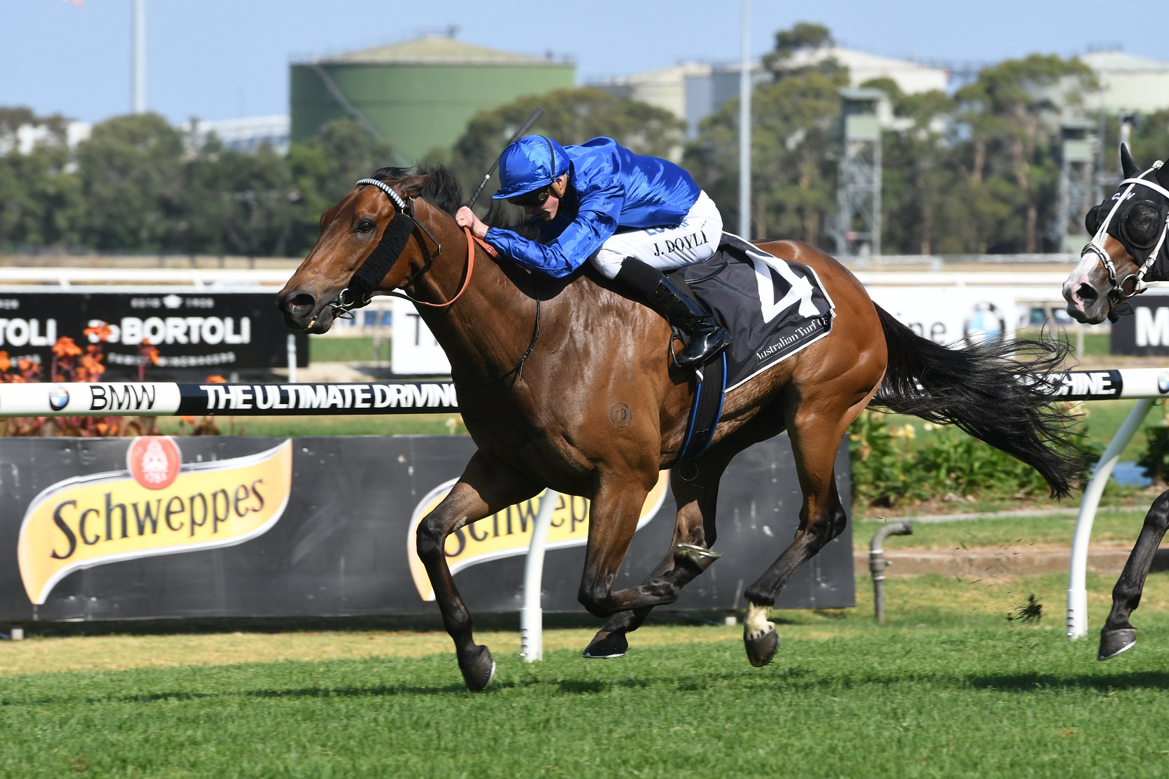 Late Mail Randwick Boxing Day Races Tips 26/12/2016 Sports News