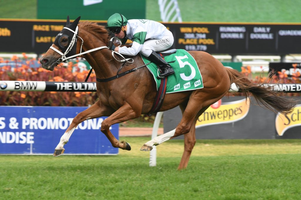 Religify - Hobartville Stakes