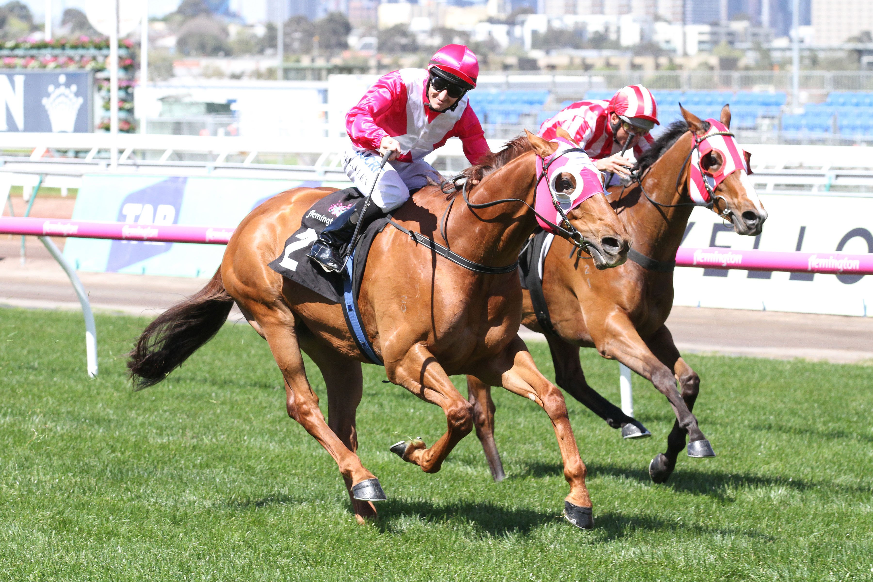 The Quarterback to resume in Black Caviar Lightning Stakes 2017