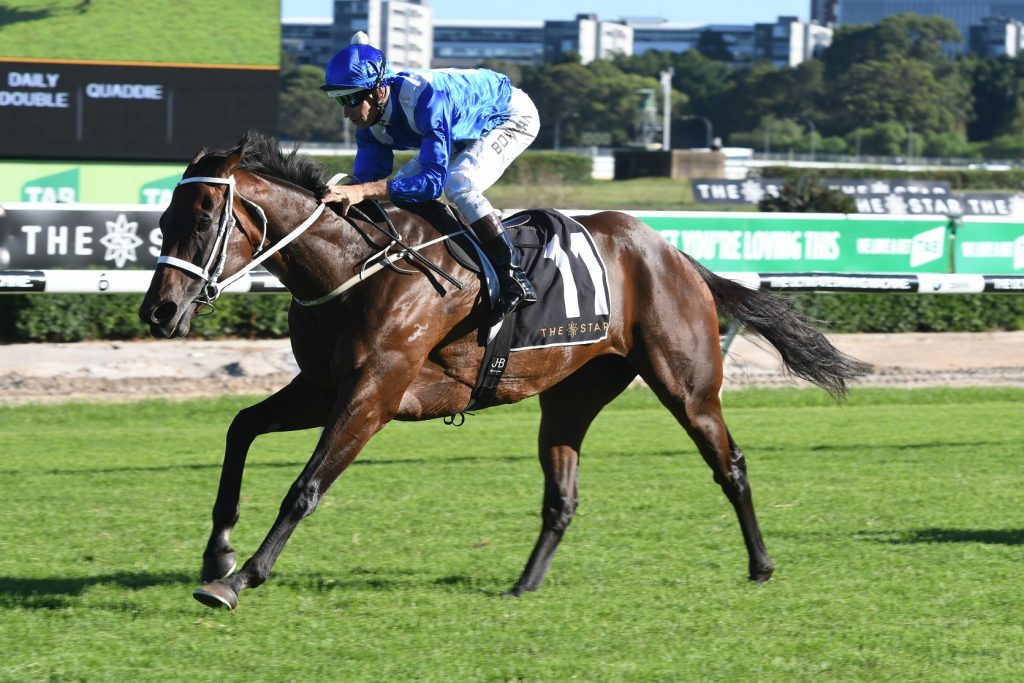 Winx - Chipping Norton Stakes