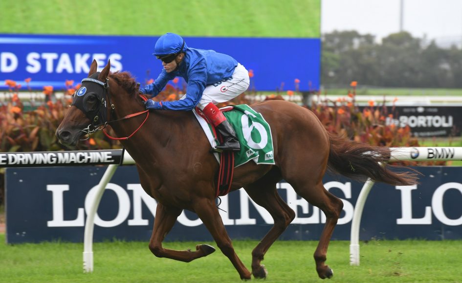golden slipper winners and placegetters golden slipper winners and placegetters 28 images golden slipper winners and placegetters golden slipper winners and placegetters 28 images