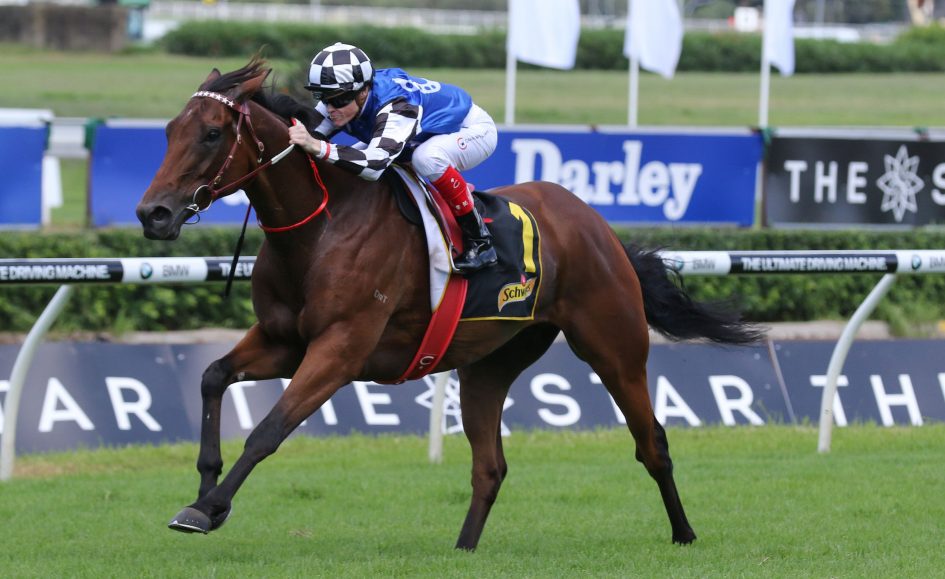 Big Duke - Sydney Cup