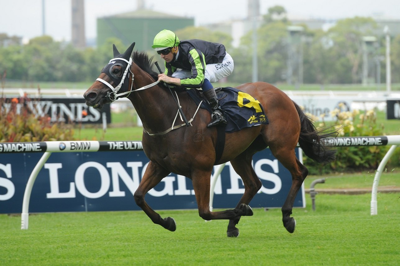 Doomben 10,000 day Tips Doomben races 13/5/2017 Sports News Australia