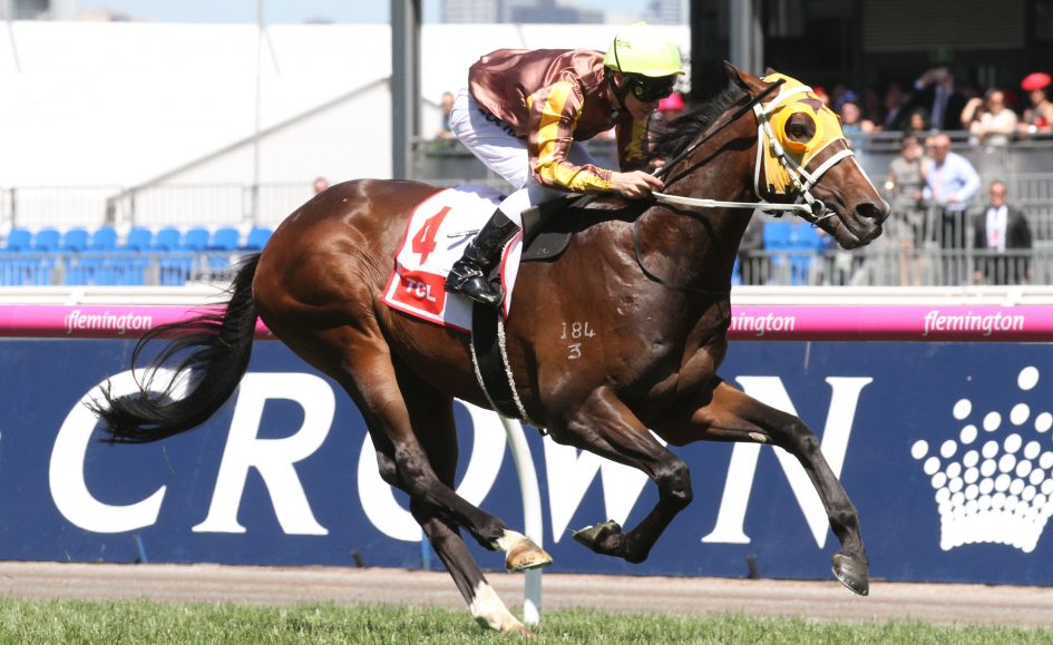 SA Derby 2017 Anaheim's gallop to decide start Sports News Australia