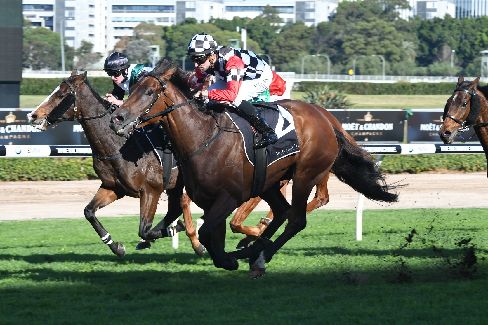 Winter Stakes 2017 day Tips Rosehill races 15/7/2017 Sports News