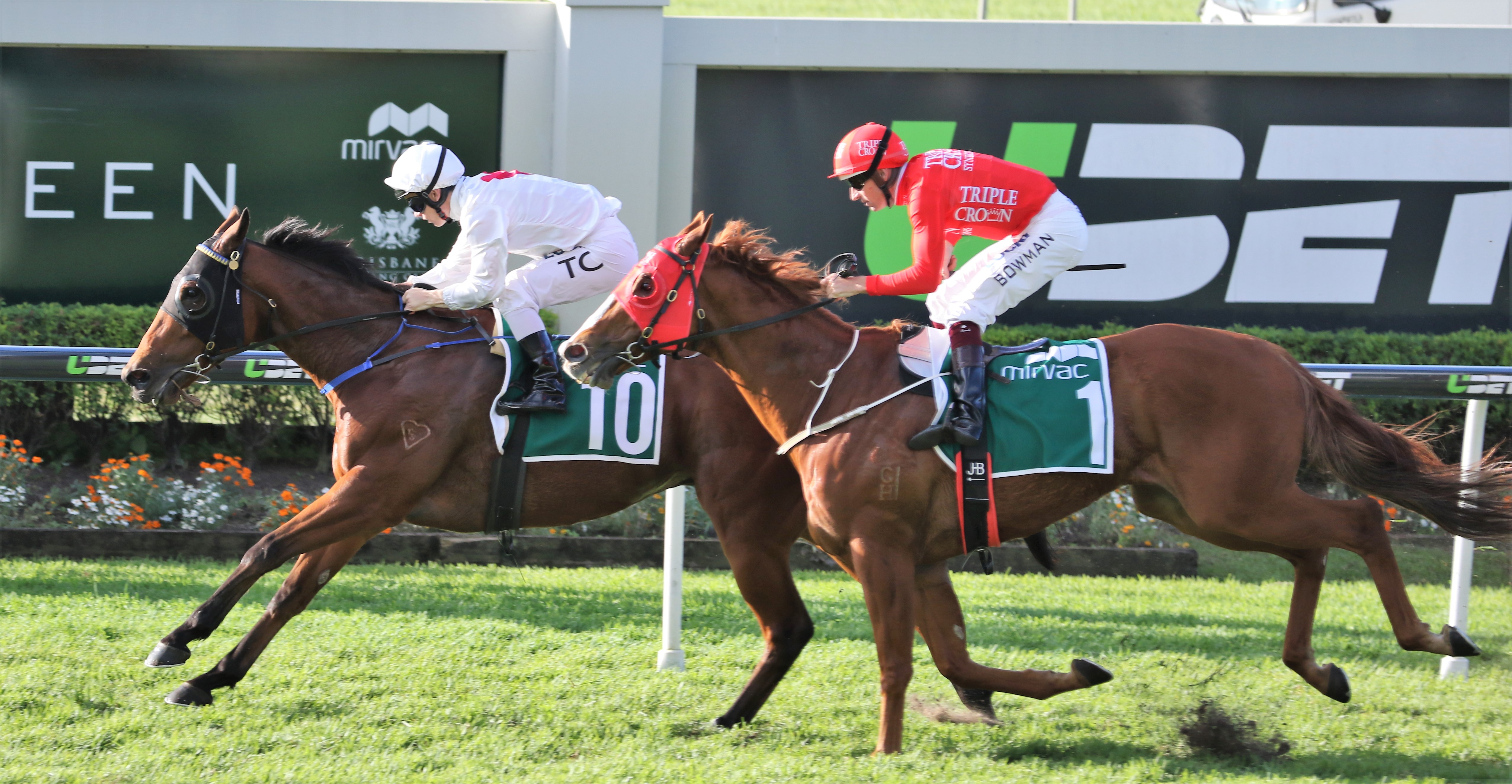 WJ Healy Stakes Trainer Gerald Ryan deploys right gear Sports News