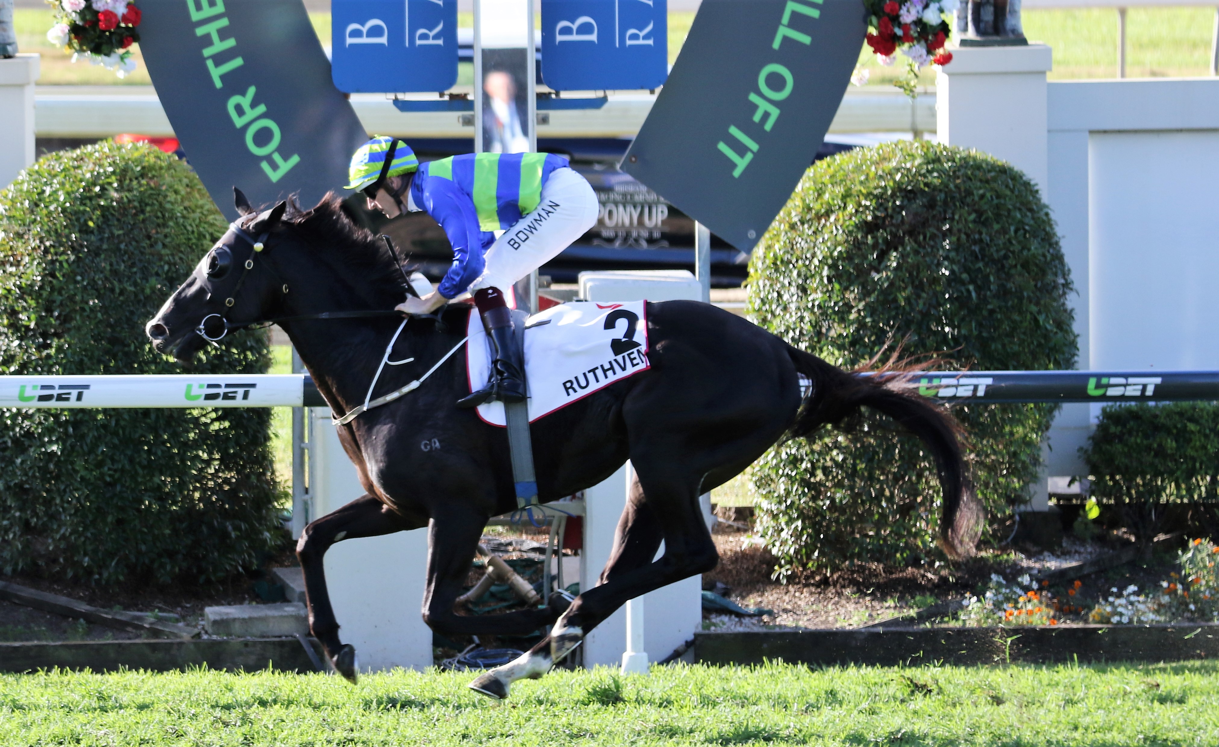 Caulfield Cup and Melbourne Cup a possibility for Ruthven Sports News