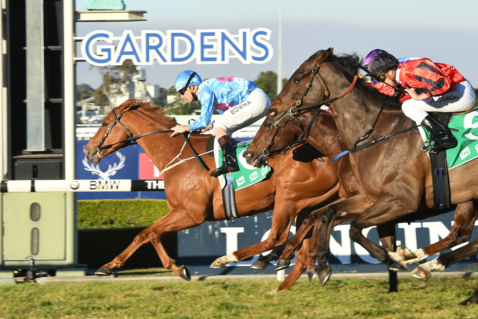 Exalted Races Country Classic day Tips and Bets – Rosehill Races 24/11/2018 | Sports ...
