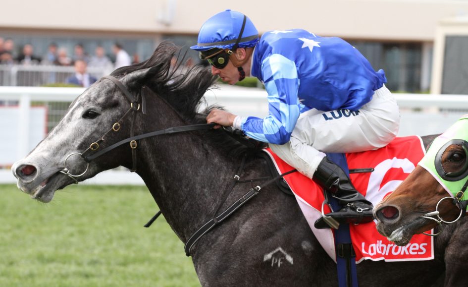 murt the flirt nominations Flying murty sire: murtajill dam : wings of prey (sing), essie's pride, kronfeld and of femmette, murt the flirt, rock forthe ladies, rumeron, grey. murt the flirt nominations Flying murty sire: murtajill dam : wings of prey (sing), essie's pride, kronfeld and of femmette, murt the flirt, rock forthe ladies, rumeron, grey.