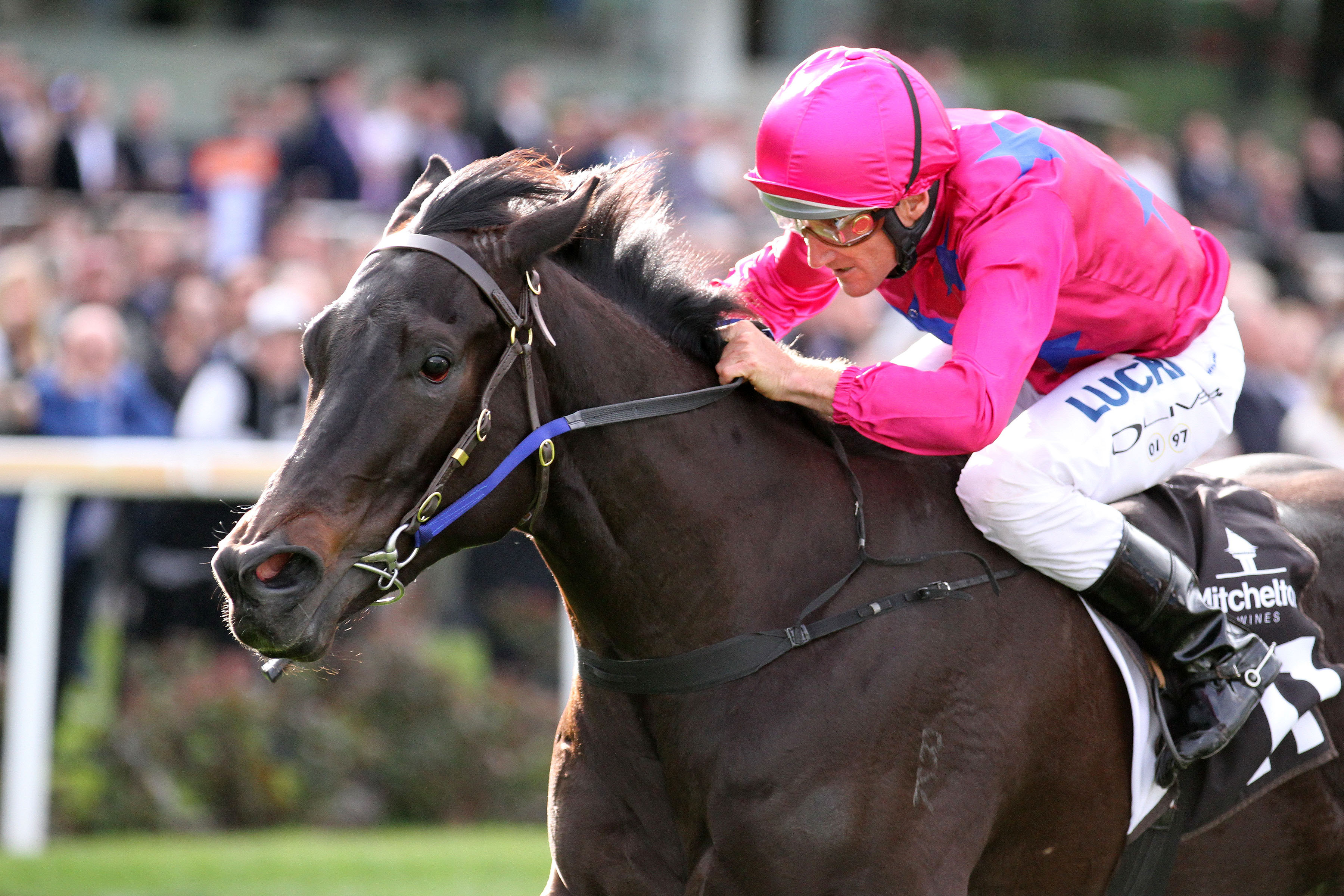 Carlyon Stakes day Tips and Bets Moonee Valley Races 25/8/2018