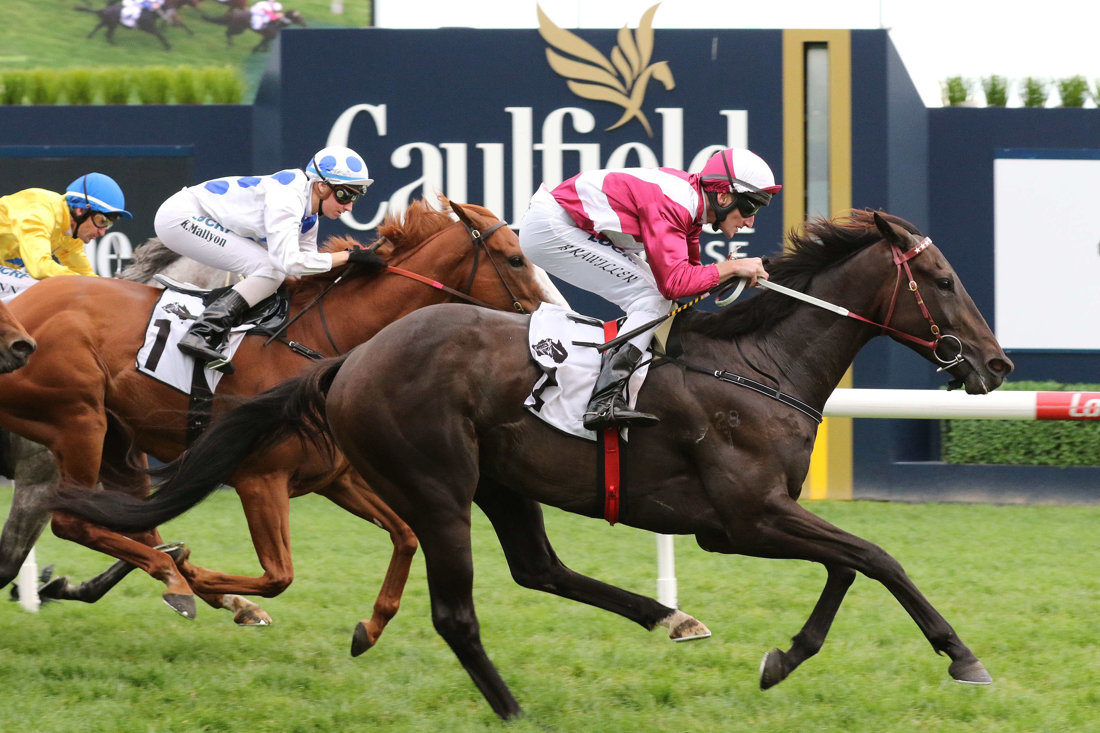 Perth Cup 2025 Winner List Daisey Kendra