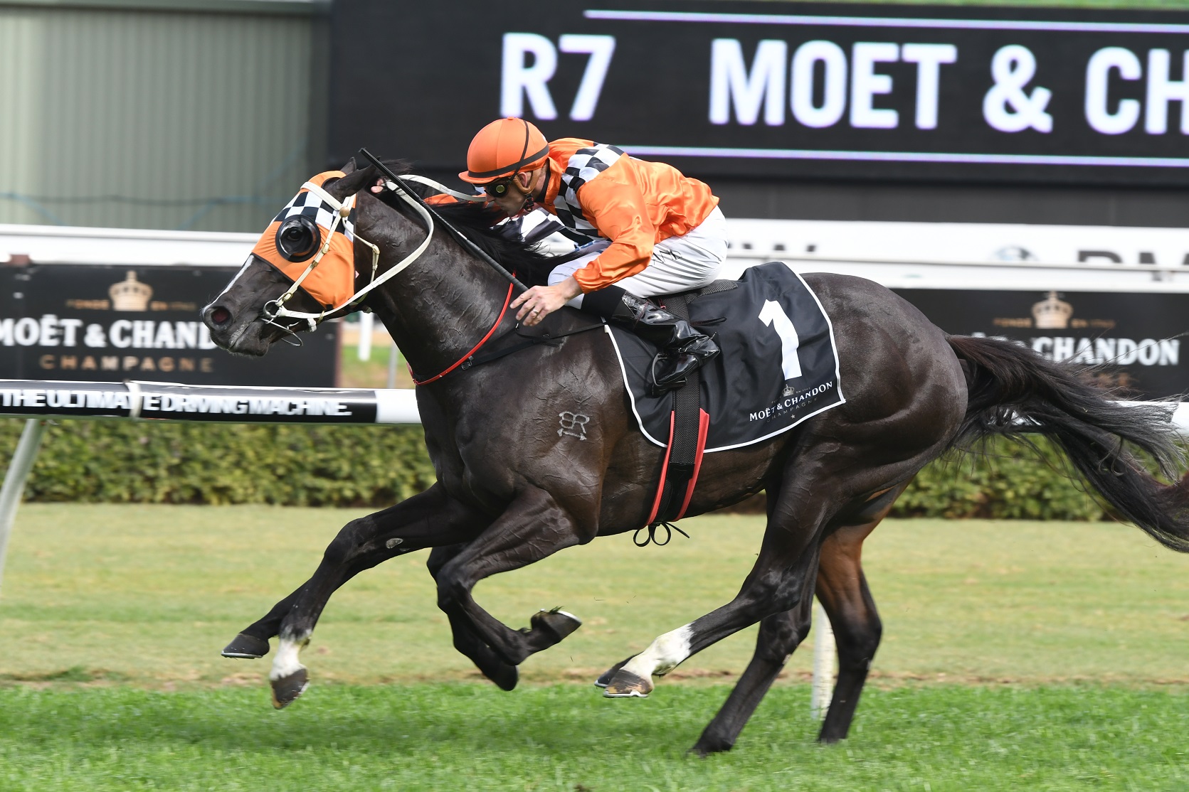 Ace High ready to tackle 2017 Victoria Derby field Sports News Australia