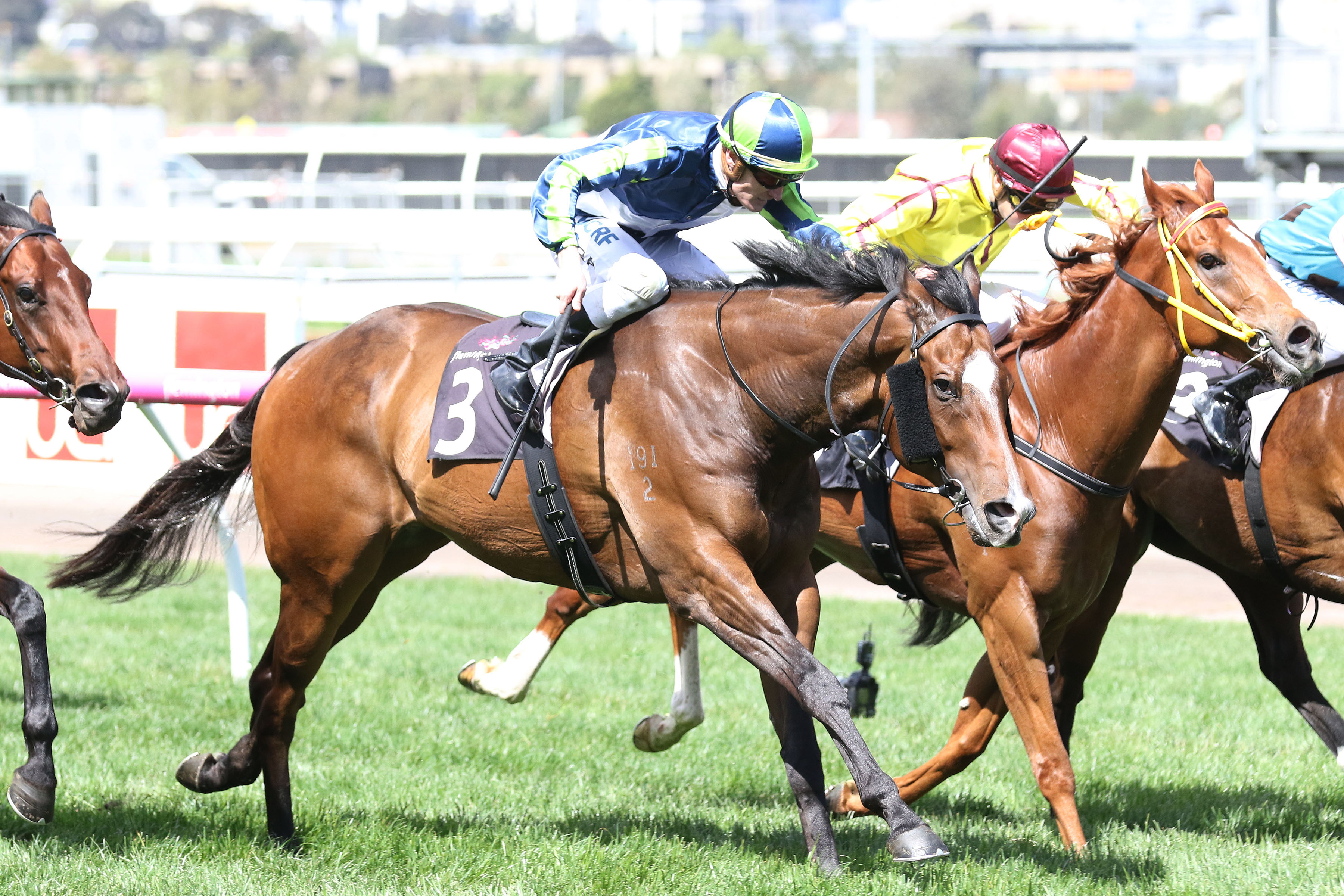 Results: Keen Array gets the bob to win Gilgai Stakes | Sports News ...