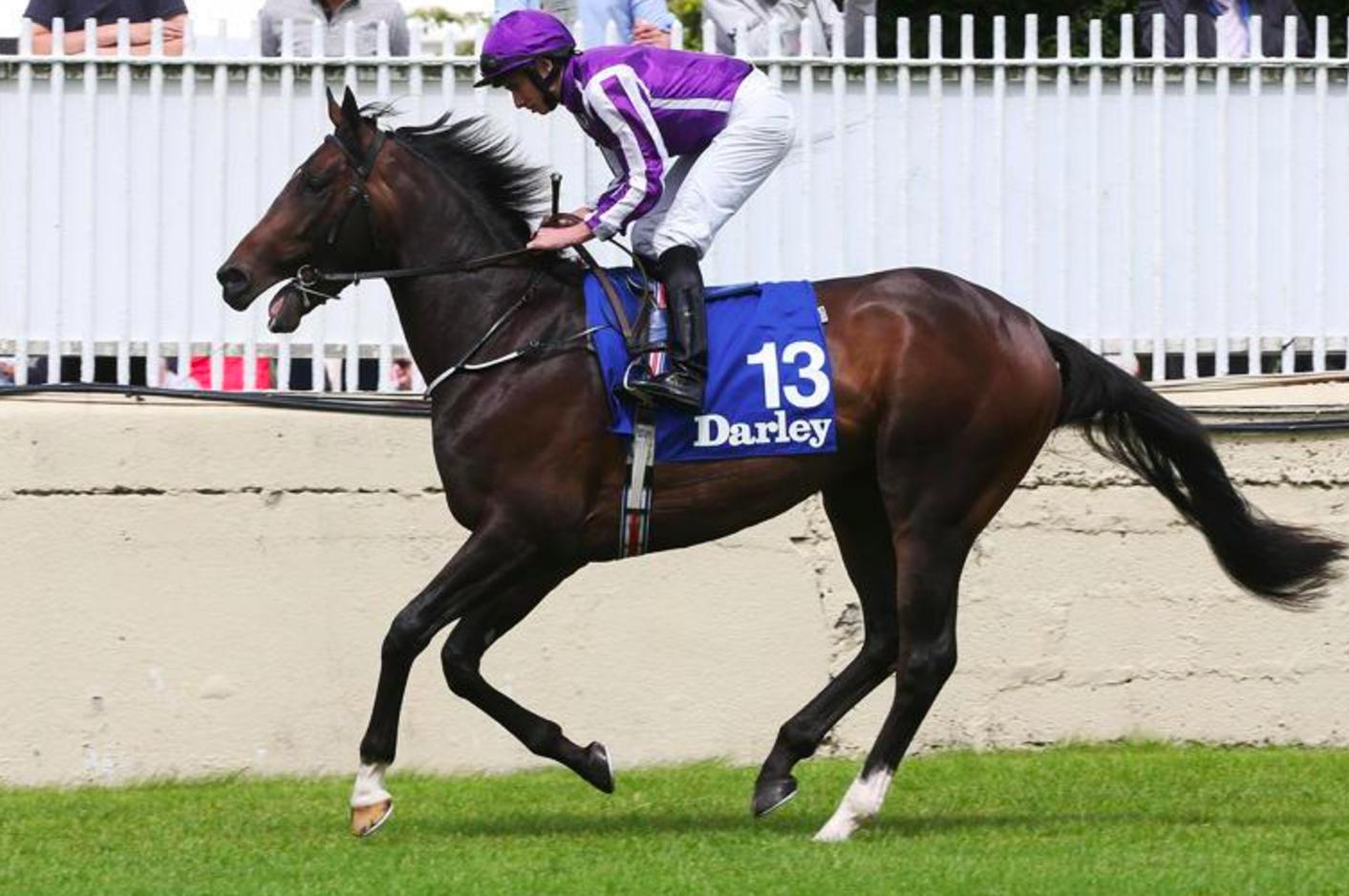 Aidan O Brien Horses Aidan O Brien Horses